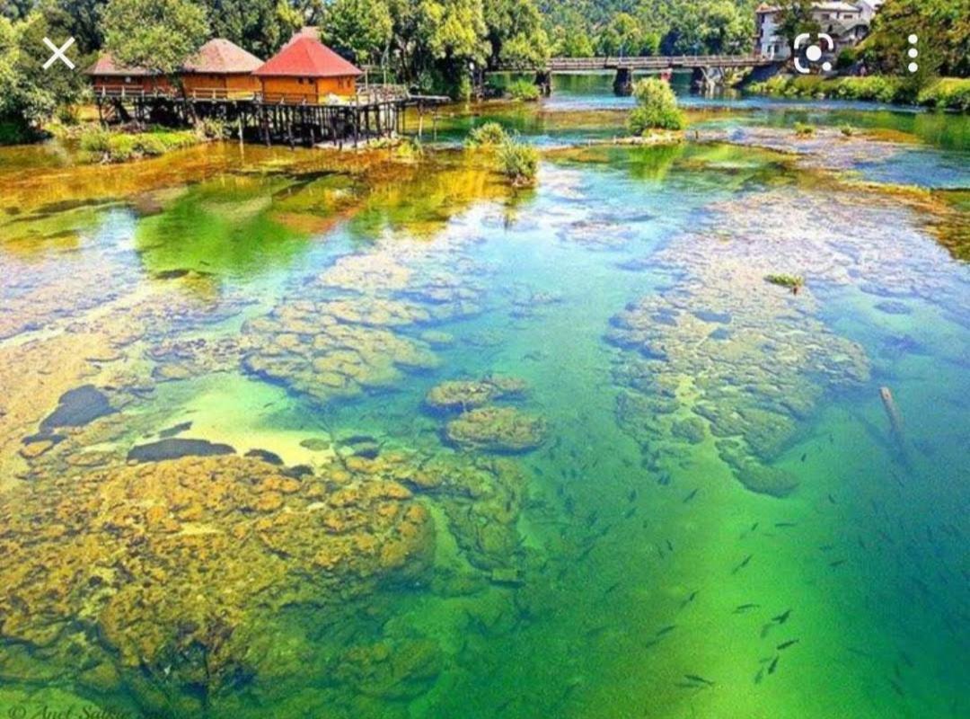 Ferienwohnung Sabina Bosanska Krupa Bagian luar foto